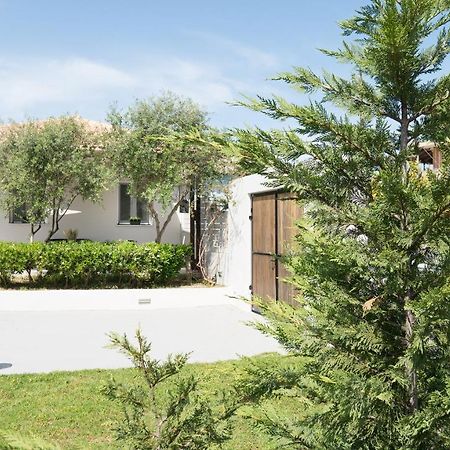 Villa Pierina House Tsilivi  Esterno foto